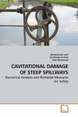 CAVITATIONAL DAMAGE OF STEEP SPILLWAYS