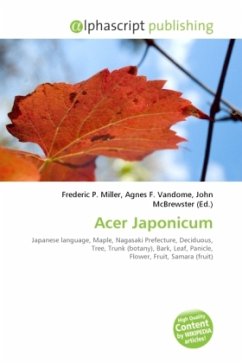 Acer Japonicum