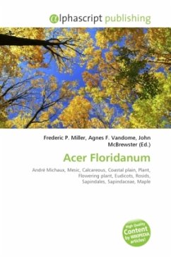 Acer Floridanum
