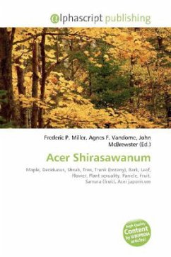 Acer Shirasawanum