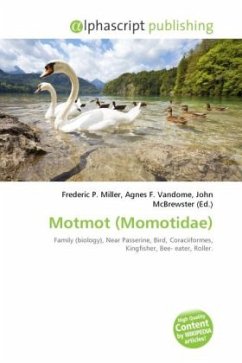 Motmot (Momotidae)