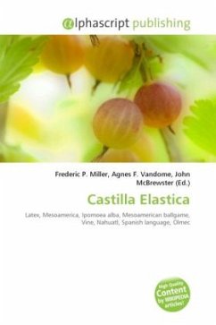 Castilla Elastica