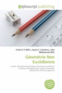 Géométrie Non Euclidienne