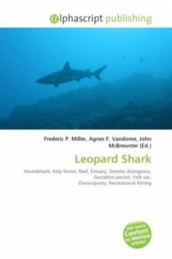 Leopard Shark