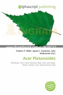 Acer Platanoides Acer Platanoides