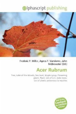 Acer Rubrum
