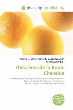 Théorème de la Boule Chevelue