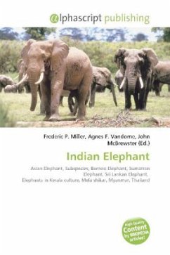 Indian Elephant