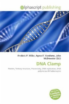 DNA Clamp
