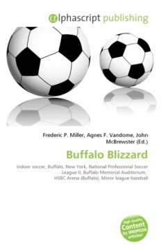 Buffalo Blizzard
