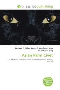 Asian Palm Civet