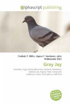 Gray Jay