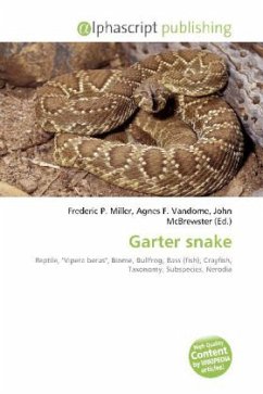 Garter snake