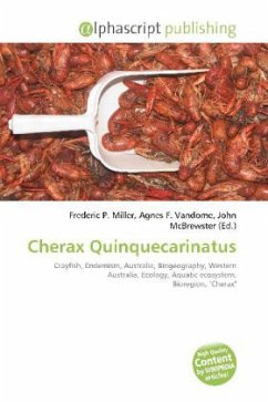 Cherax Quinquecarinatus