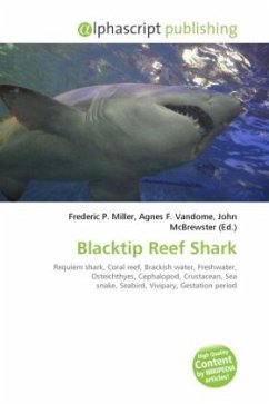 Blacktip Reef Shark