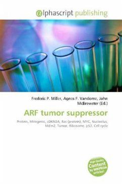 ARF tumor suppressor