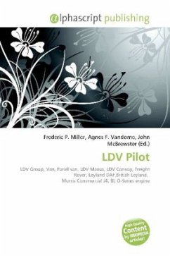 LDV Pilot