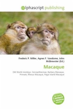 Macaque