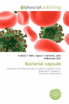 Bacterial capsule