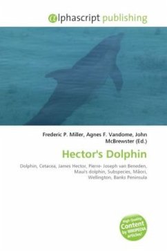 Hector's Dolphin