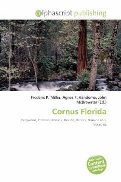 Cornus Florida