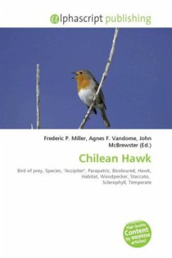 Chilean Hawk