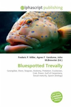 Bluespotted Trevally