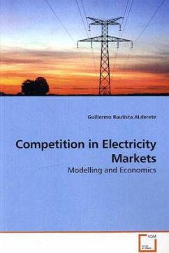 Competition in Electricity Markets - Bautista ALderete, Guillermo