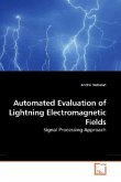 Automated Evaluation of Lightning Electromagnetic Fields