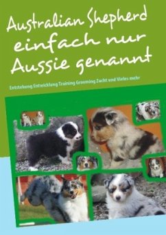 Australian Shepherd einfach nur Aussie genannt - Birkner, Bettina