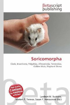 Soricomorpha