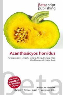 Acanthosicyos horridus