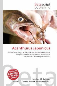 Acanthurus japonicus