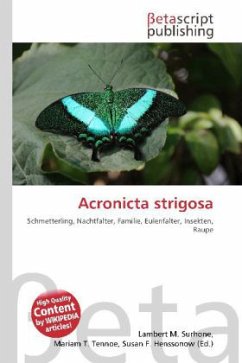 Acronicta strigosa