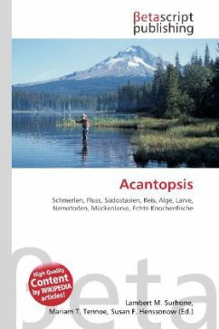 Acantopsis