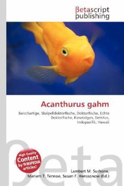 Acanthurus gahm