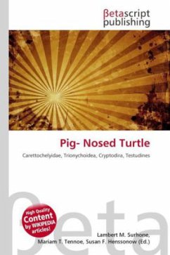 Pig- Nosed Turtle