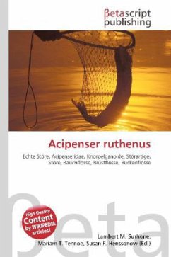 Acipenser ruthenus