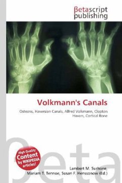Volkmann's Canals