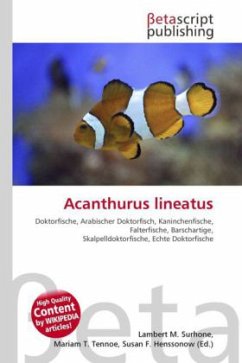 Acanthurus lineatus