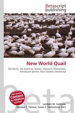 New World Quail