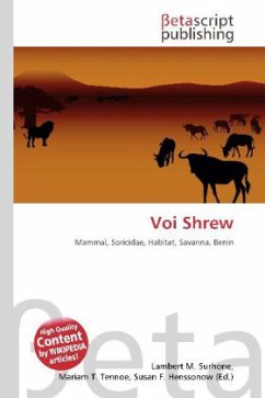 Voi Shrew