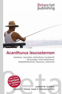 Acanthurus leucosternon
