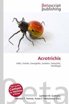 Acrotrichis