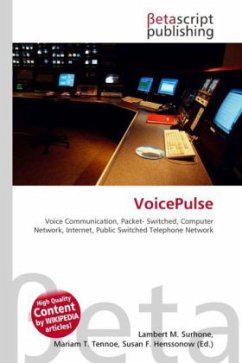 Cover VoicePulse