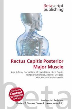 Rectus Capitis Posterior Major Muscle