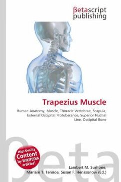 Trapezius Muscle