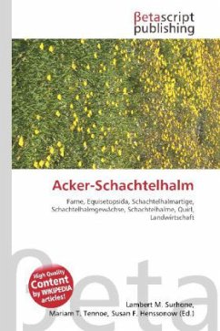 Acker-Schachtelhalm