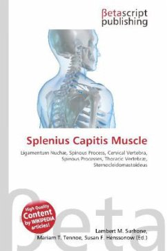 Splenius Capitis Muscle