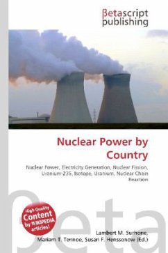 Nuclear Power by Country
